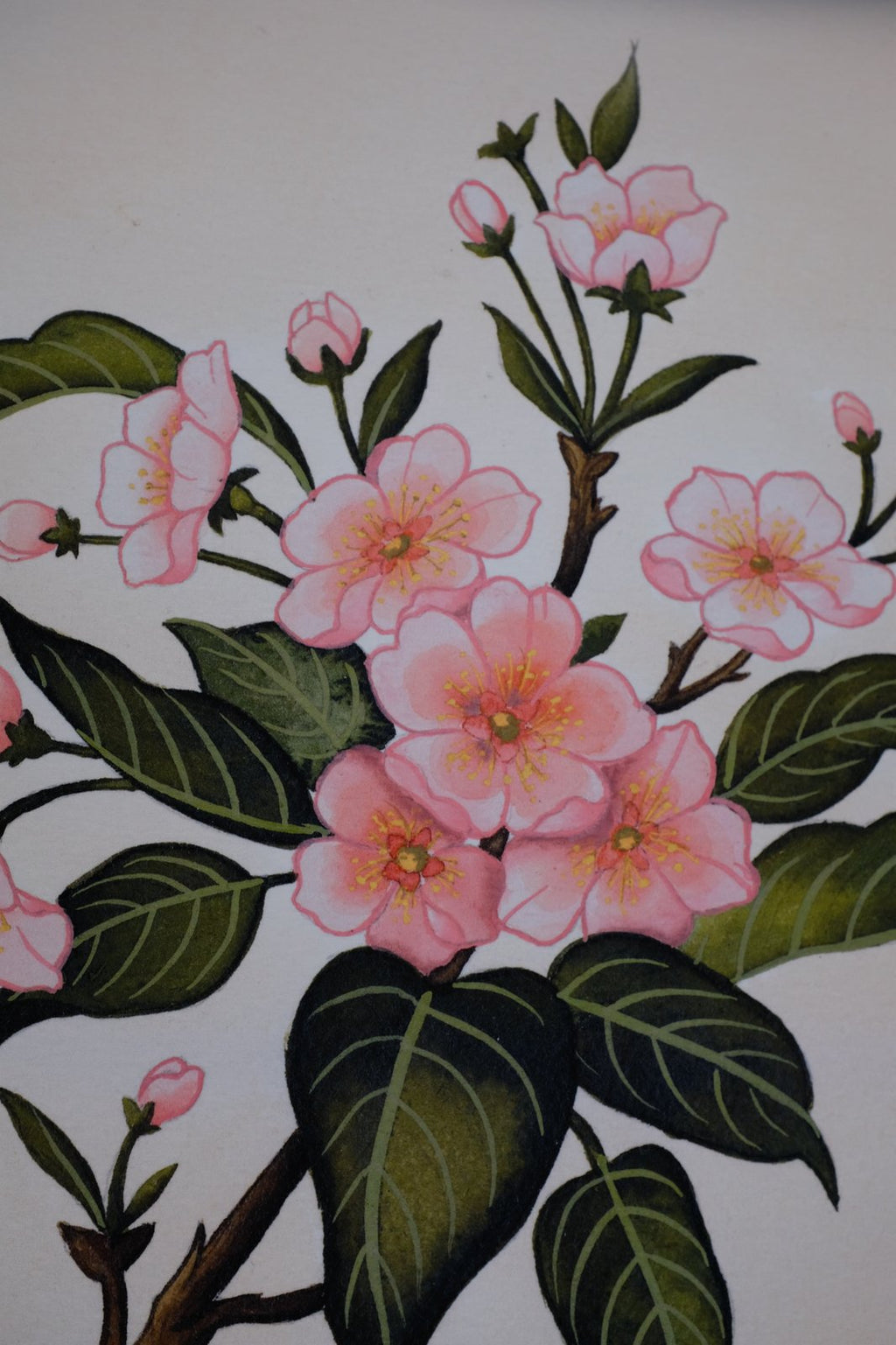 Floral Print A4 - Einzigartige  von Doro Hoffmann. Jetzt online bestellen!