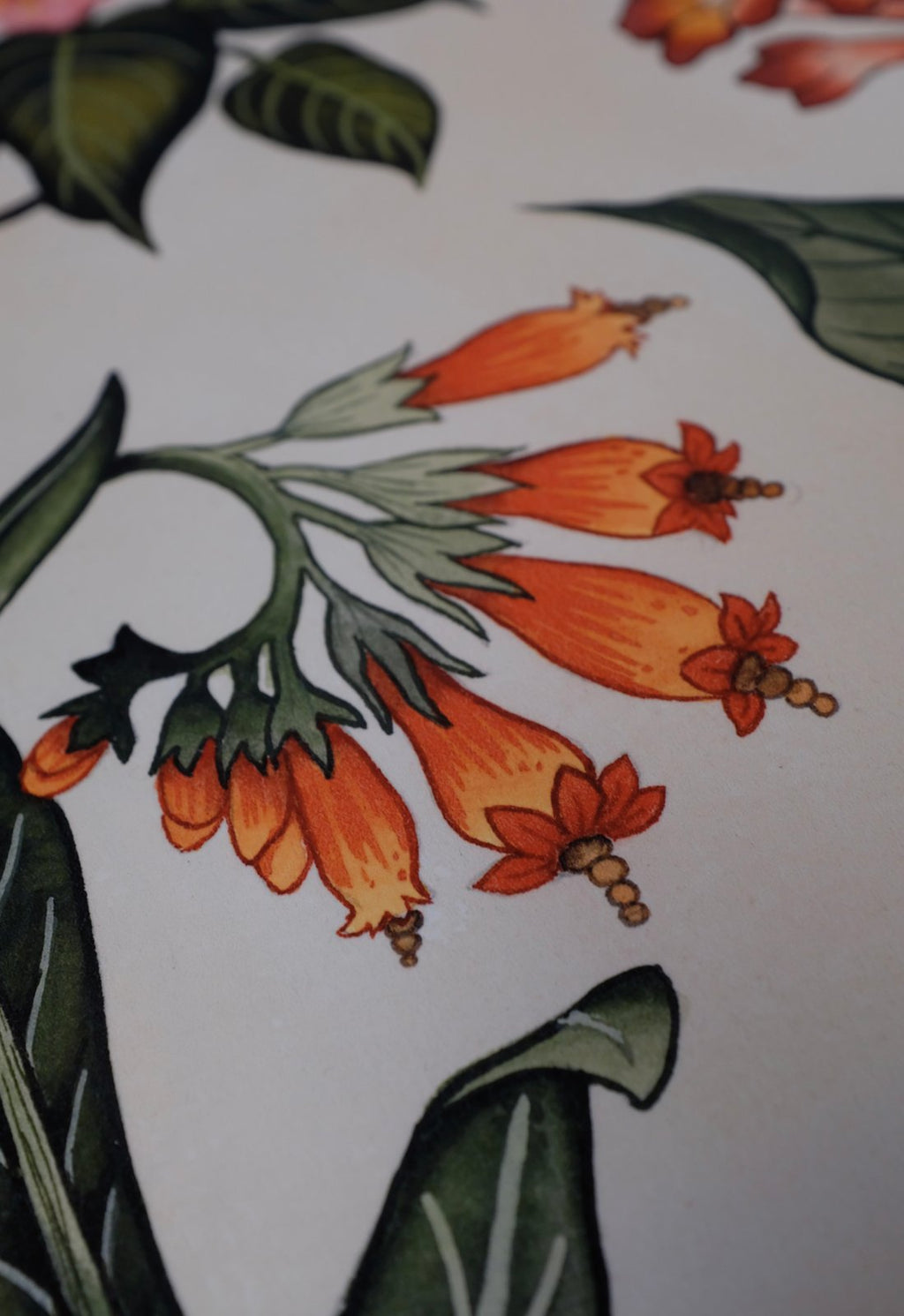 Floral Print A4 - Einzigartige  von Doro Hoffmann. Jetzt online bestellen!